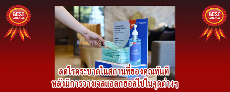 handgel17